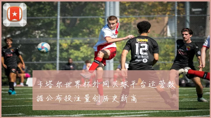卡塔尔世界杯外网买球平台运营数据公布投注量创历史新高