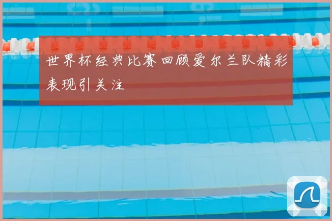 世界杯经典比赛回顾爱尔兰队精彩表现引关注