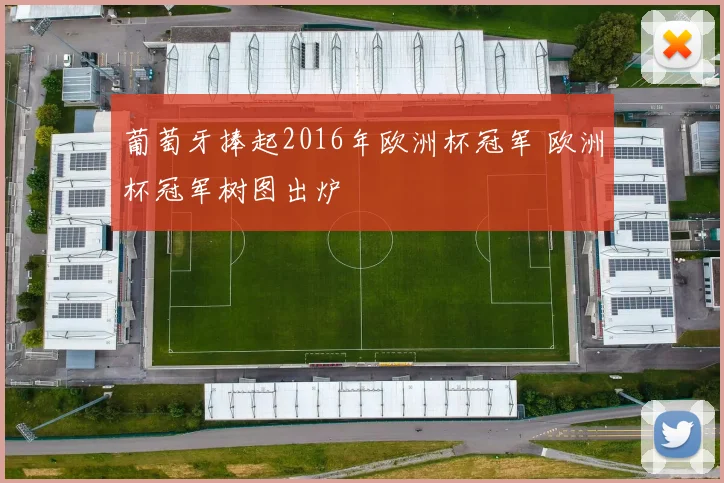 葡萄牙捧起2016年欧洲杯冠军 欧洲杯冠军树图出炉