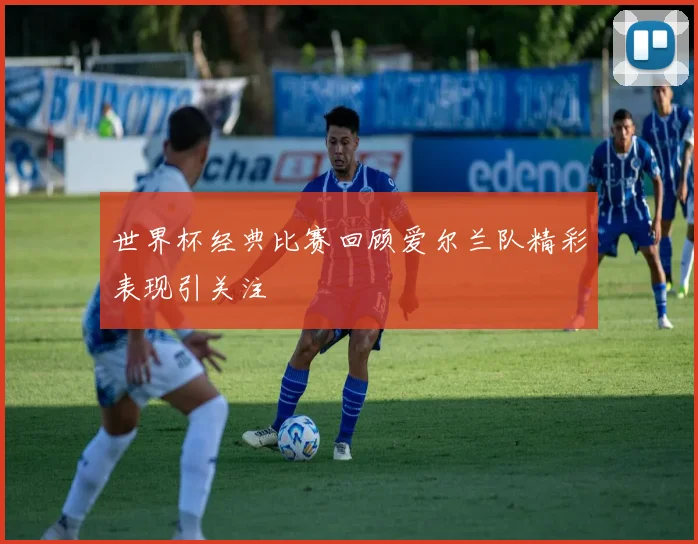 世界杯经典比赛回顾爱尔兰队精彩表现引关注