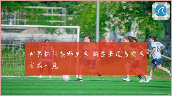 世界杯门票哪里买 购票渠道与购买方式一览