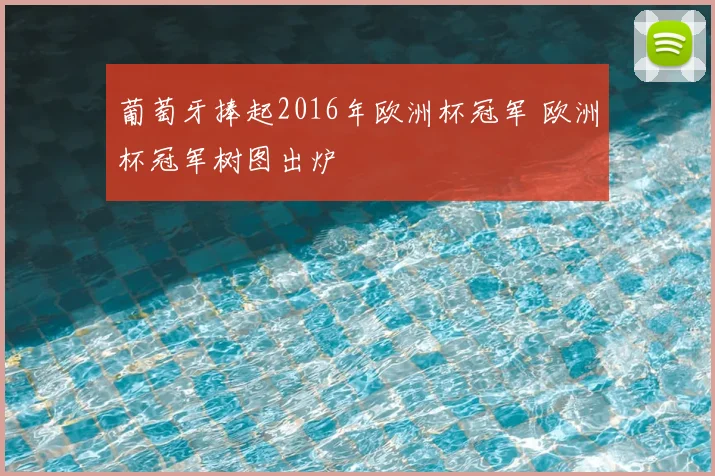 葡萄牙捧起2016年欧洲杯冠军 欧洲杯冠军树图出炉