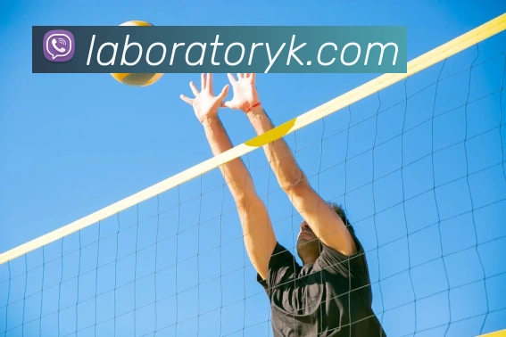 bsports官方网站APP 封面图